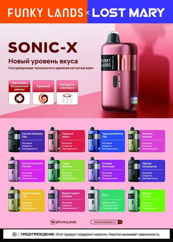 SONIC Х ЧЕРНИКА МАЛИНА ЛЕД